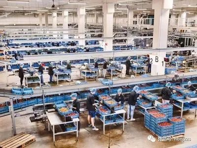 【视界】超越德国？揭秘农业科技领域的隐形冠军