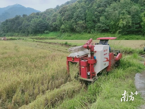 科技兴农 新型农机设备助推翁源现代农业发展